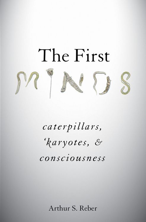 Produktbild: The First Minds