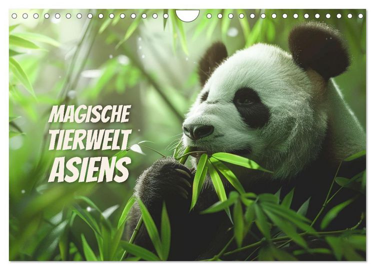 Produktbild: Magische Tierwelt Asiens (Wandkalender 2026 DIN A4 quer), CALVENDO Monatskalender