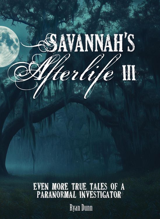 Produktbild: Savannah's Afterlife III