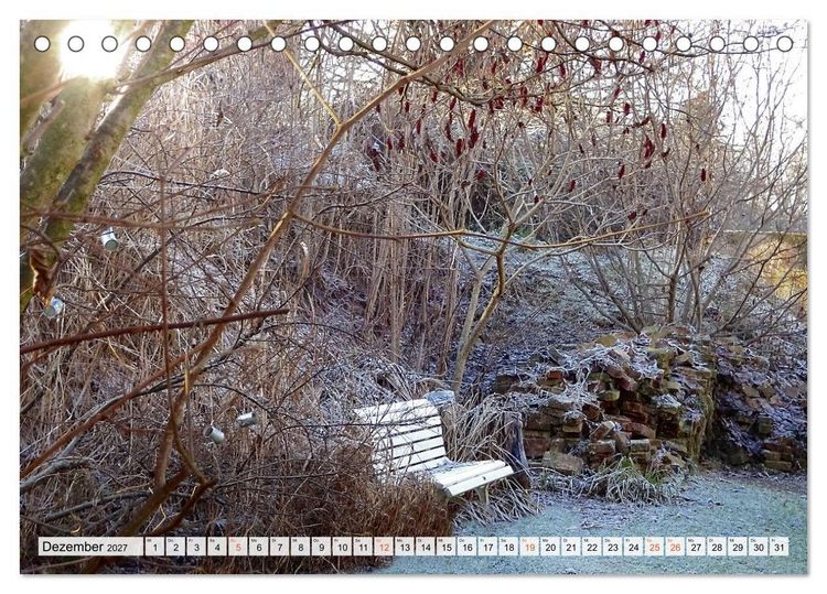 Produktbild: Momente im Garten (Tischkalender 2027 DIN A5 quer), CALVENDO Monatskalender