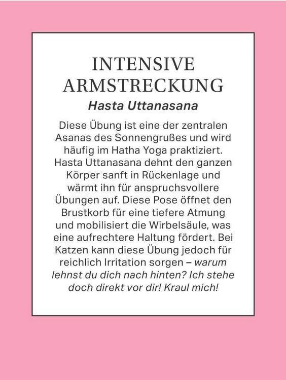 Produktbild: Yoga mit Katze