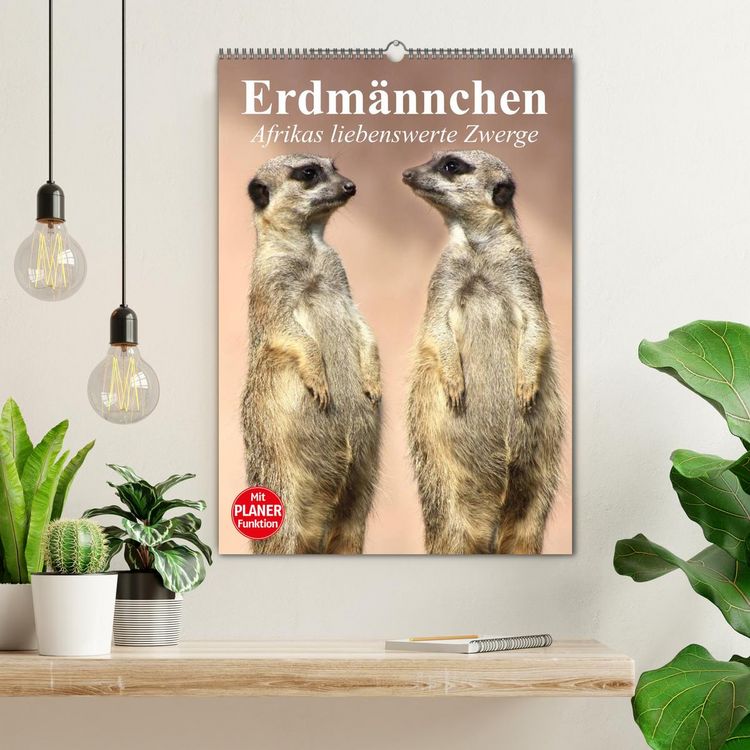 Produktbild: Erdm&auml;nnchen - Afrikas liebenswerte Zwerge (Wandkalender 2026 DIN A2 hoch), CALVENDO Monatskalender