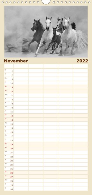 Produktbild: Familienplaner Arabische Pferde (Wandkalender 2022 , 21 cm x 45 cm, hoch)