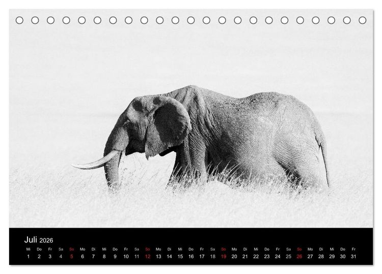 Produktbild: Elefanten Schwarz - Weiss (Tischkalender 2026 DIN A5 quer), CALVENDO Monatskalender