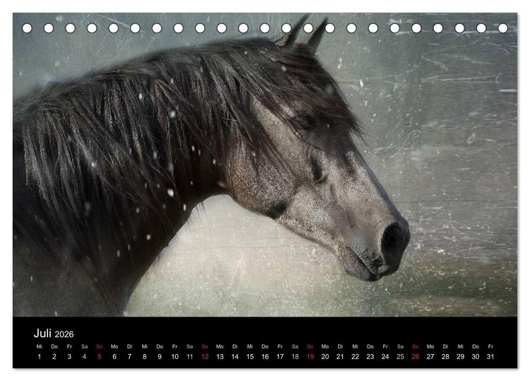 Produktbild: Pferde zum Tr&auml;umen (Tischkalender 2026 DIN A5 quer), CALVENDO Monatskalender