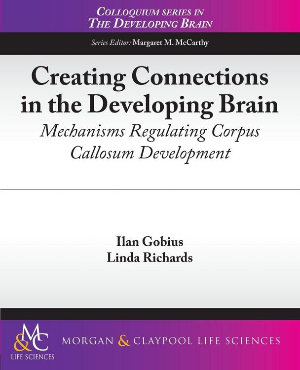 Produktbild: Creating Connections in the Developing Brain