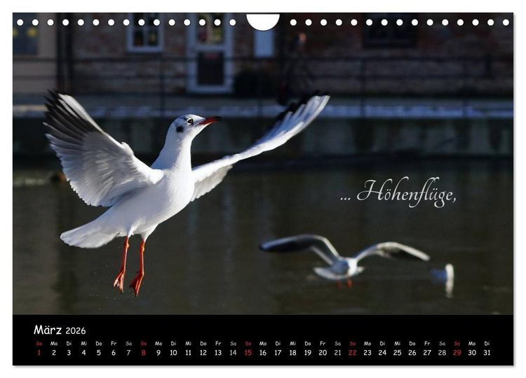 Produktbild: Gut gelaunt durch's Rentenjahr (Wandkalender 2026 DIN A4 quer), CALVENDO Monatskalender