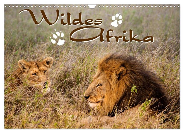 Produktbild: Wildes Afrika (Wandkalender 2026 DIN A3 quer), CALVENDO Monatskalender