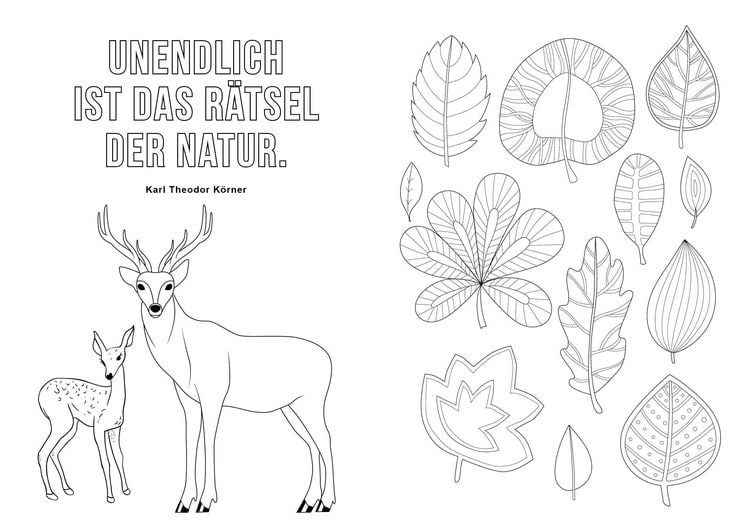 Produktbild: Ausmalbuch f&uuml;r Senioren: Das Leben ist bunt