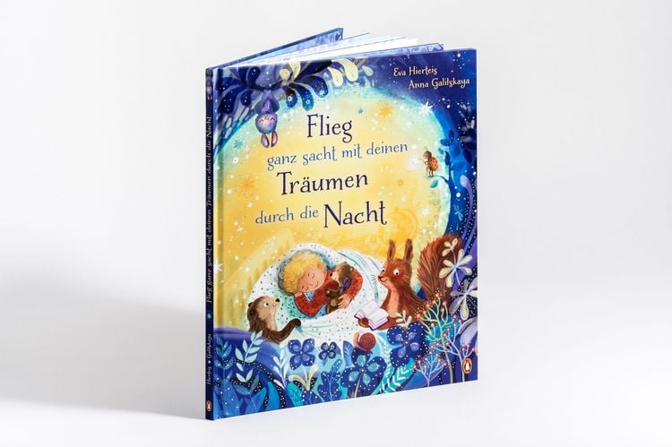 Produktbild: Flieg ganz sacht mit deinen Tr&auml;umen durch die Nacht