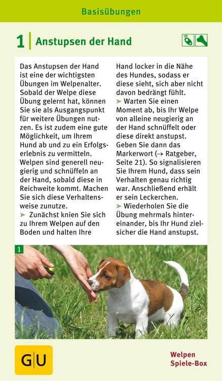 Produktbild: Welpen-Spiele-Box