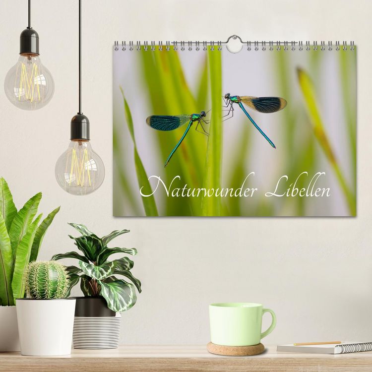 Produktbild: Naturwunder Libellen (Wandkalender 2026 DIN A4 quer), CALVENDO Monatskalender