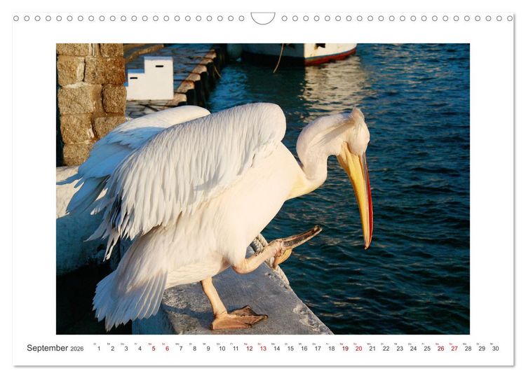 Produktbild: Griechischer Charme (Wandkalender 2026 DIN A3 quer), CALVENDO Monatskalender