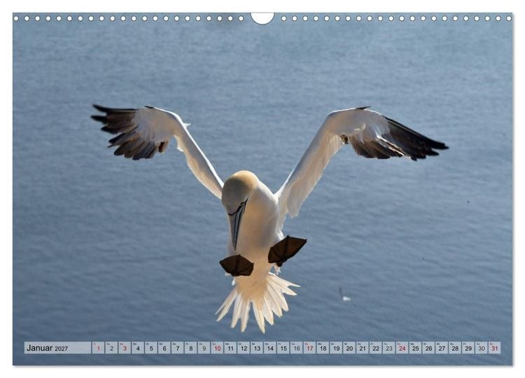 Produktbild: Sch&ouml;ne Insel Helgoland (Wandkalender 2027 DIN A3 quer), CALVENDO Monatskalender