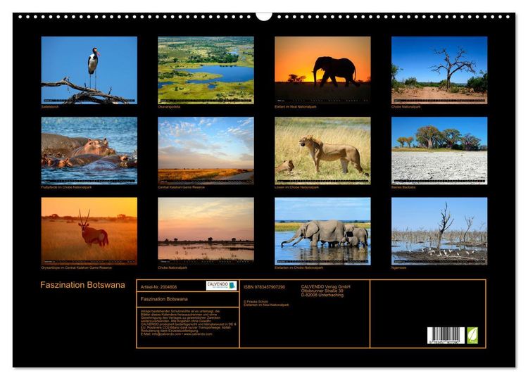 Produktbild: Faszination Botswana (Wandkalender 2026 DIN A2 quer), CALVENDO Monatskalender