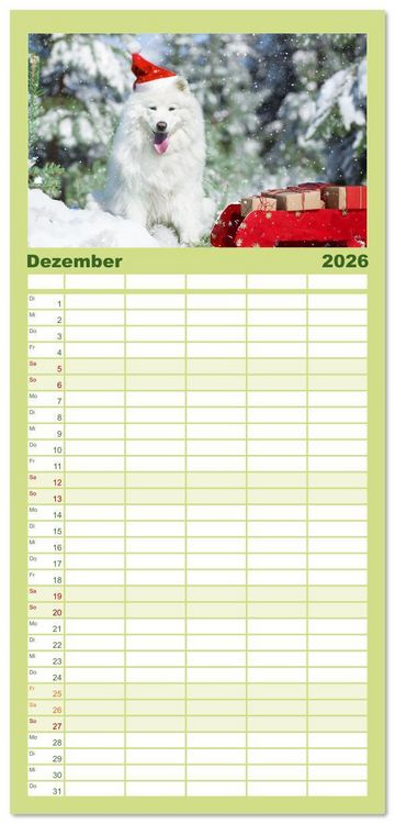 Produktbild: Familienplaner 2026 - Der Samojede - Sch&ouml;nheit des Nordens mit 5 Spalten (Wandkalender, 21 x 45 cm) CALVENDO