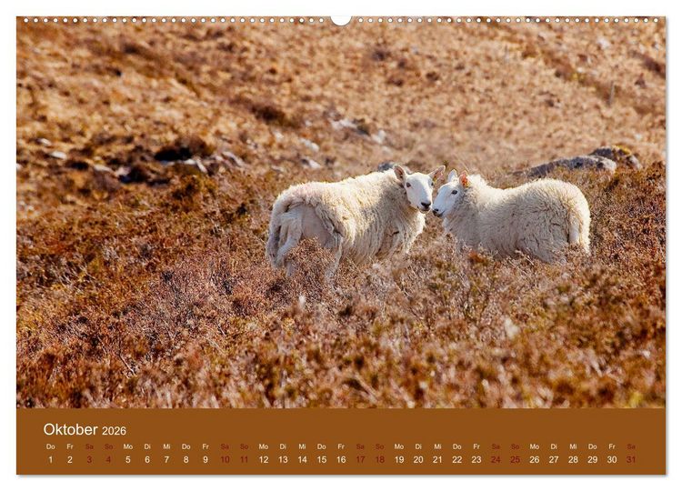 Produktbild: Unter Schafen - Wegbegleiter auf Reisen (Wandkalender 2026 DIN A2 quer), CALVENDO Monatskalender