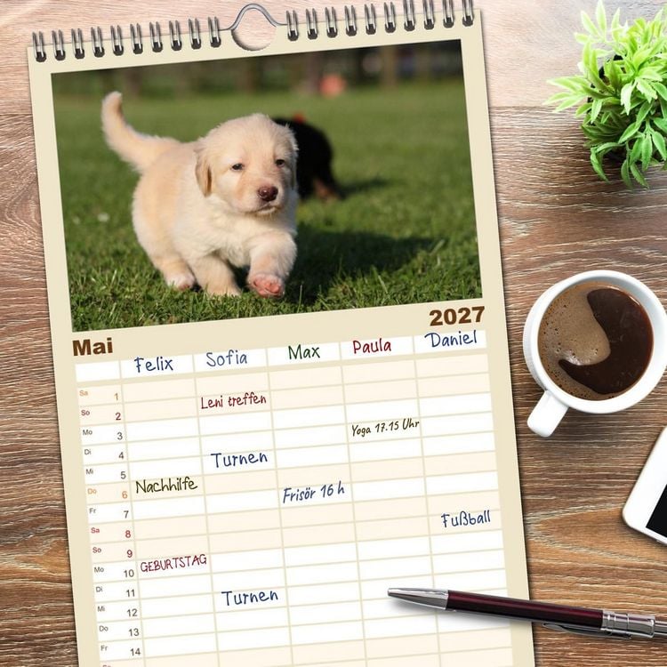 Produktbild: Familienplaner 2027 - Hovawart - nat&uuml;rlich blond mit 5 Spalten (Wandkalender, 21 x 45 cm) CALVENDO
