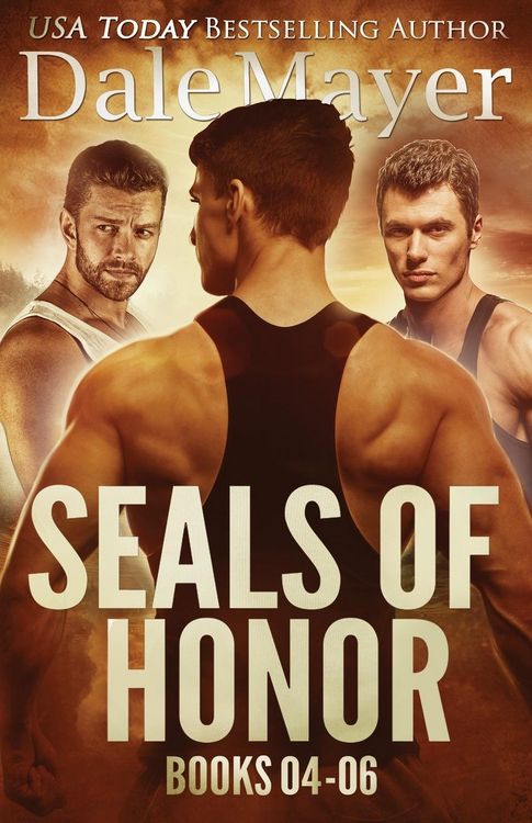 Produktbild: SEALs of Honor Books 4-6