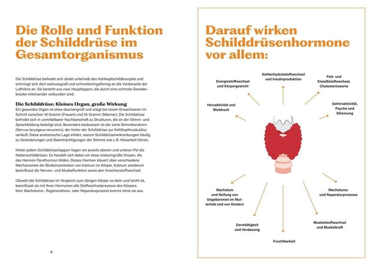 Produktbild: Soforthilfe bei Schilddr&uuml;senunterfunktion und Hashimoto