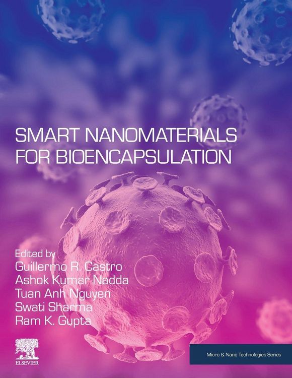 Produktbild: Smart Nanomaterials for Bioencapsulation