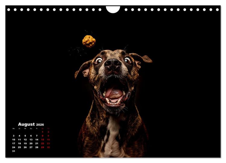 Produktbild: Leckerchen! (Wandkalender 2026 DIN A4 quer), CALVENDO Monatskalender