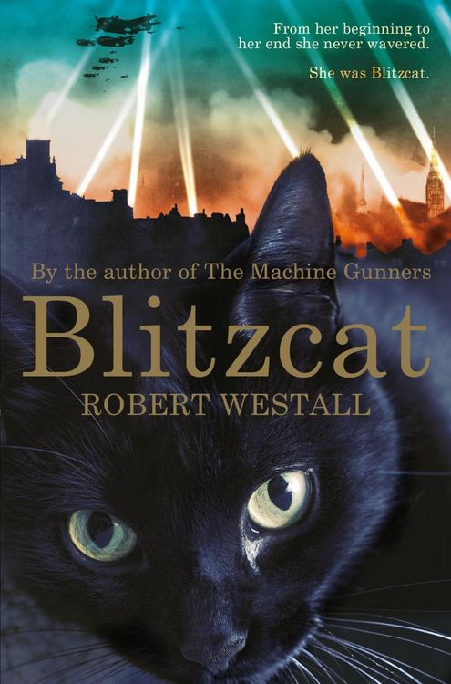 Produktbild: Blitzcat