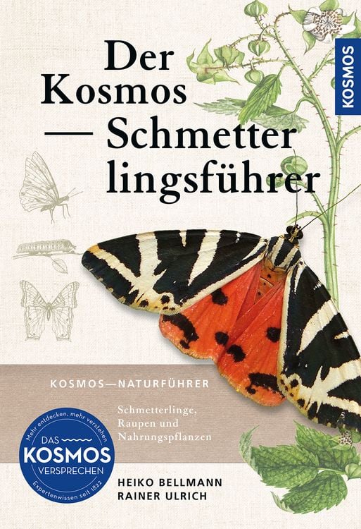 Produktbild: Der Kosmos Schmetterlingsf&uuml;hrer