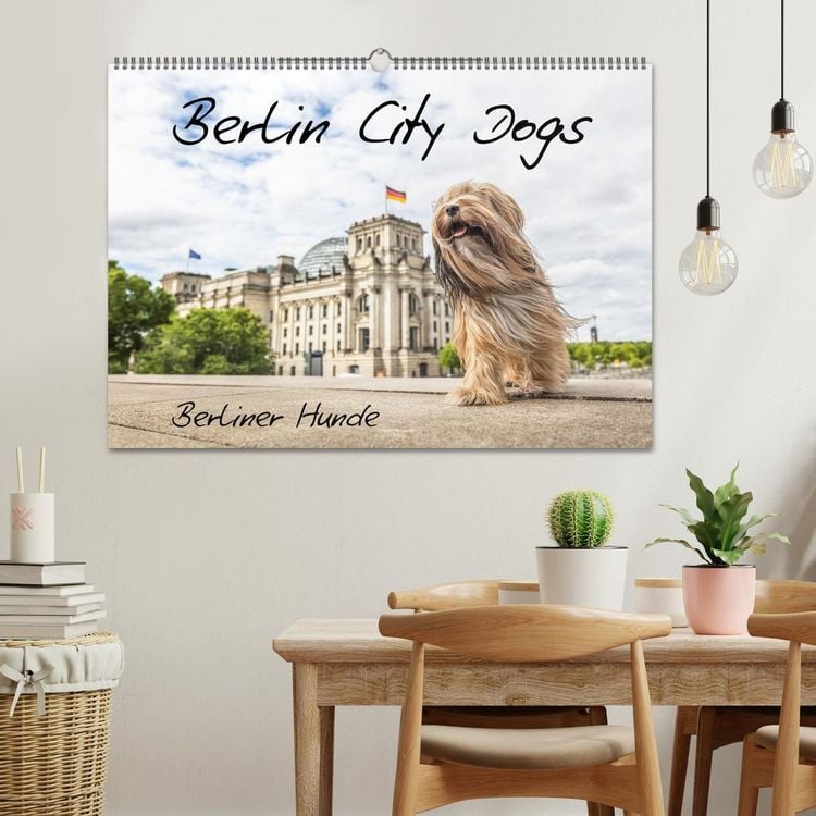 Produktbild: Berlin City Dogs - Berliner Hunde (Wandkalender 2026 DIN A2 quer), CALVENDO Monatskalender