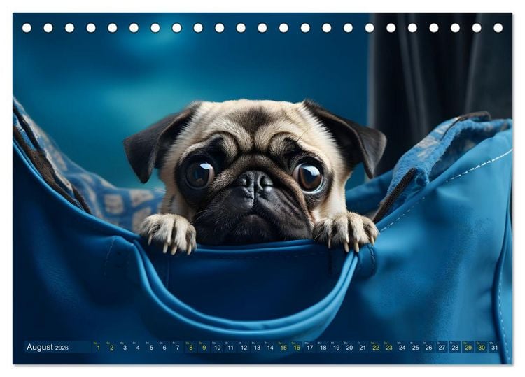 Produktbild: Lustige Mops-Hunde: Die charmanten Meister von Chaos und Unfug (Tischkalender 2026 DIN A5 quer), CALVENDO Monatskalender