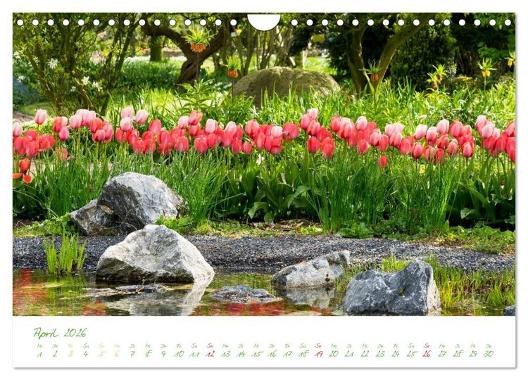 Produktbild: Kreislehrgarten in Steinfurt (Wandkalender 2026 DIN A4 quer), CALVENDO Monatskalender