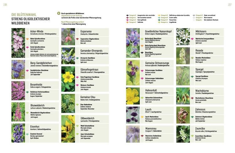 Produktbild: Wildbienenhelfer