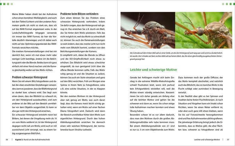 Produktbild: Extreme Wildlife-Makrofotografie