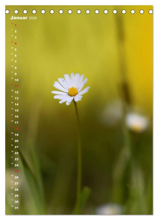 Produktbild: Colors of Nature (Tischkalender 2026 DIN A5 hoch), CALVENDO Monatskalender
