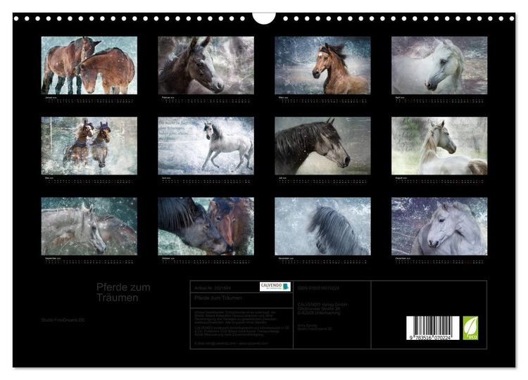 Produktbild: Pferde zum Tr&auml;umen (Wandkalender 2026 DIN A3 quer), CALVENDO Monatskalender