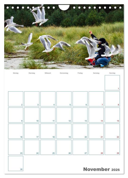 Produktbild: Ostseebad Prerow - Dar&szlig;er Momente - Terminplaner (Wandkalender 2026 DIN A4 hoch), CALVENDO Monatskalender