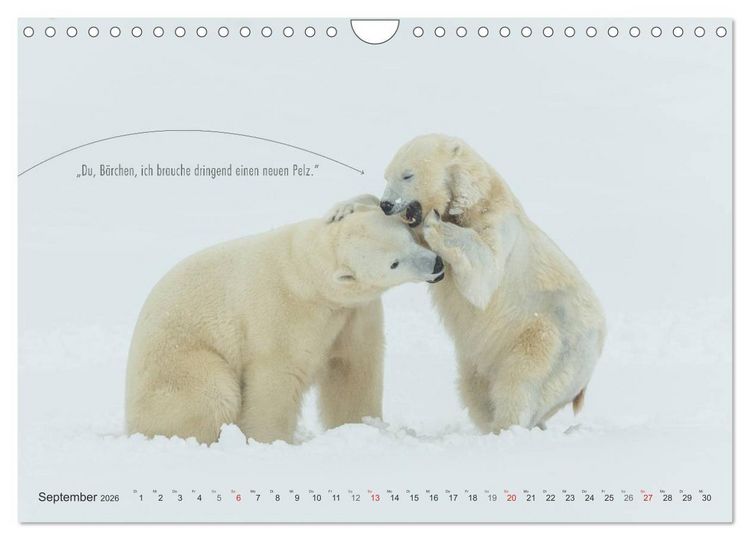 Produktbild: Emotionale Momente: Eisb&auml;ren - ganz menschlich gesehen. (Wandkalender 2026 DIN A4 quer), CALVENDO Monatskalender