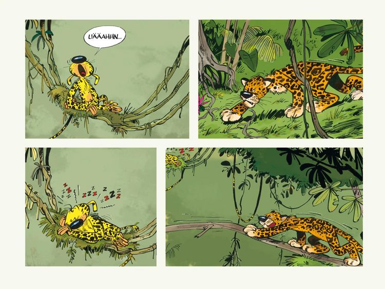Produktbild: Huba! - Eine Marsupilami-Liebesgeschichte (Hochwertige Jubil&auml;umsedition 100 Jahre Franquin)