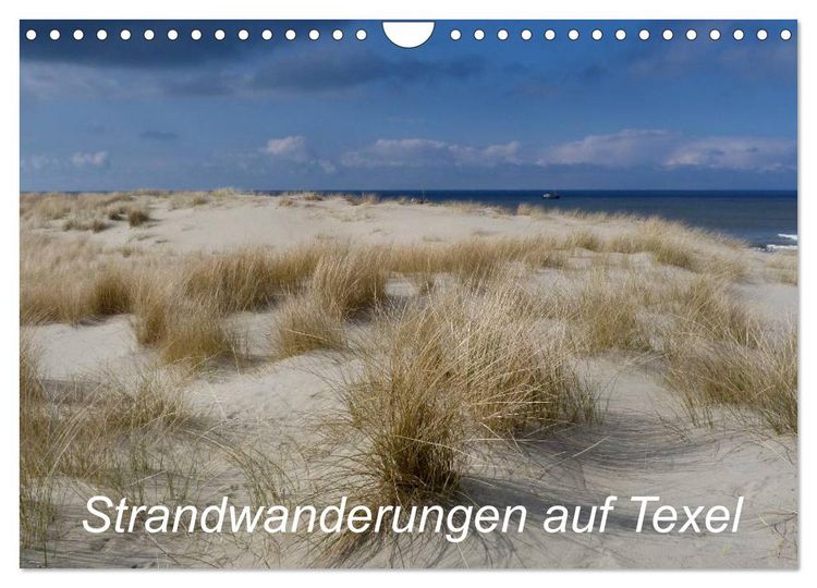 Produktbild: Strandwanderungen auf Texel (Wandkalender 2026 DIN A4 quer), CALVENDO Monatskalender