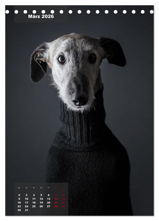 Produktbild: UNDERDOG - Windhundportraits (Tischkalender 2026 DIN A5 hoch), CALVENDO Monatskalender