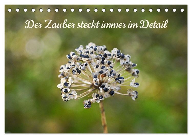 Produktbild: Der Zauber steckt immer im Detail (Tischkalender 2026 DIN A5 quer), CALVENDO Monatskalender