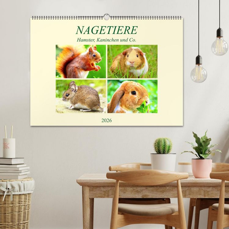 Produktbild: Nagetiere. Hamster, Kaninchen und Co. (Wandkalender 2026 DIN A2 quer), CALVENDO Monatskalender