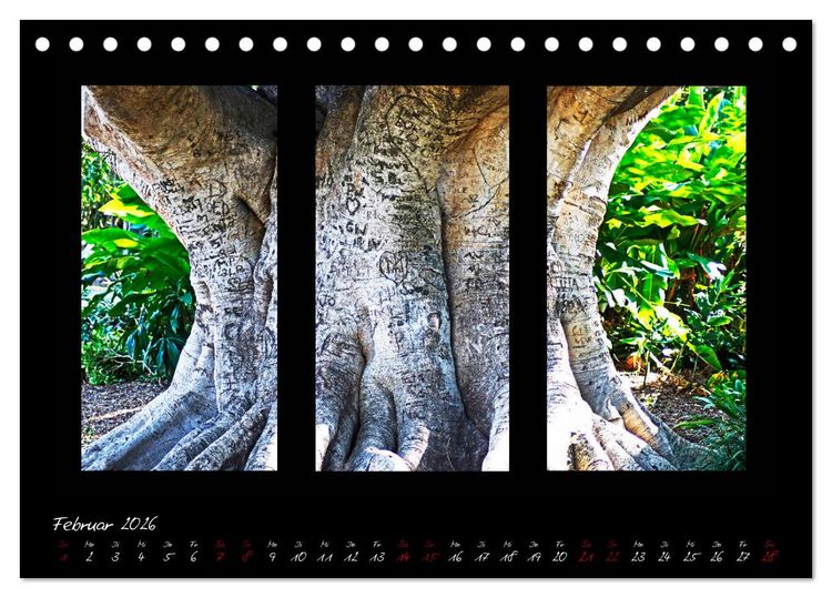 Produktbild: Die Kunst der Natur - Dreifach Stilvoll (Tischkalender 2026 DIN A5 quer), CALVENDO Monatskalender