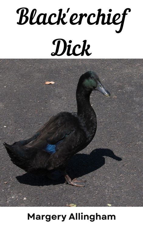 Produktbild: Black erchief Dick
