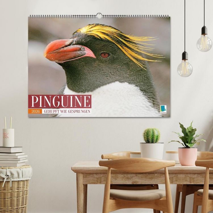 Produktbild: Pinguine: Gehupft wie gesprungen (Wandkalender 2026 DIN A2 quer), CALVENDO Monatskalender