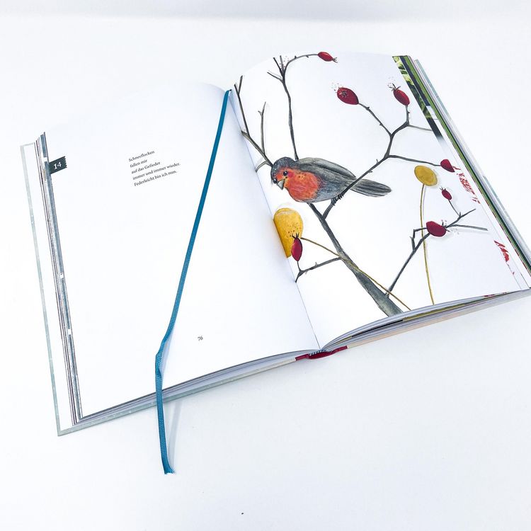 Produktbild: Das gro&szlig;e WeihnachtsWunderBuch