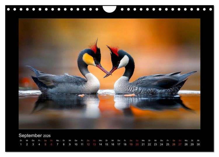 Produktbild: Wundervolle Augenblicke (Wandkalender 2026 DIN A4 quer), CALVENDO Monatskalender