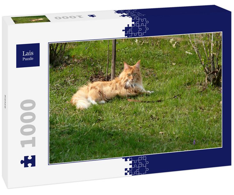 Produktbild: Lais Puzzle Katze 1000 Teile