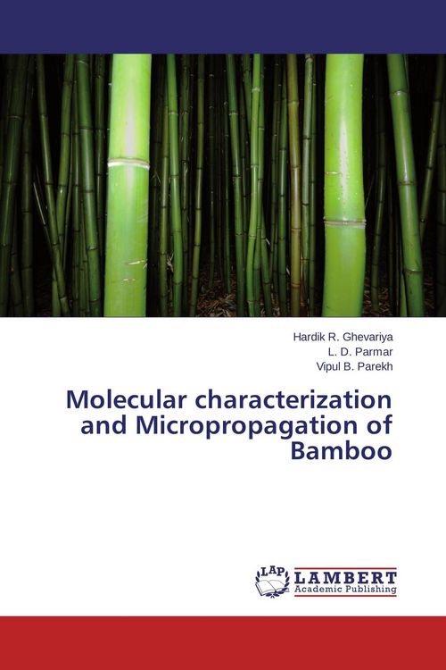 Produktbild: Molecular characterization and Micropropagation of Bamboo