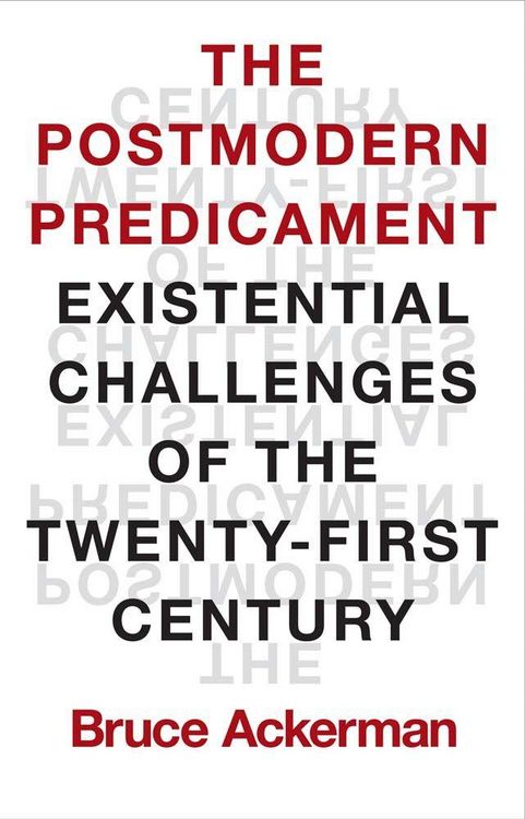 Produktbild: The Postmodern Predicament